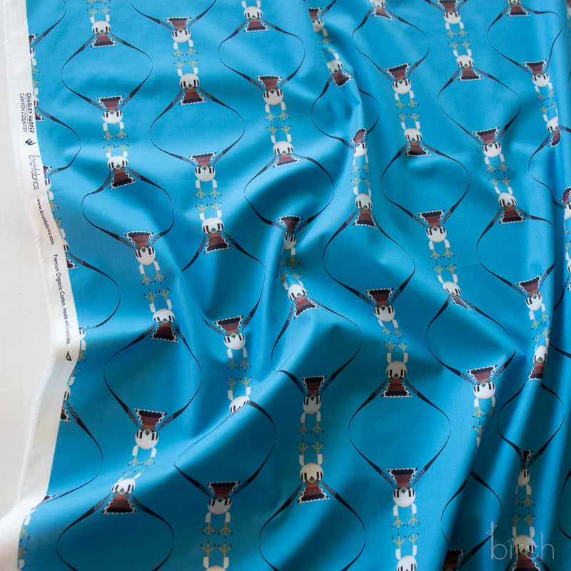 Birch Organic Cotton Poplin, Canyon Country - Falcon Flight
