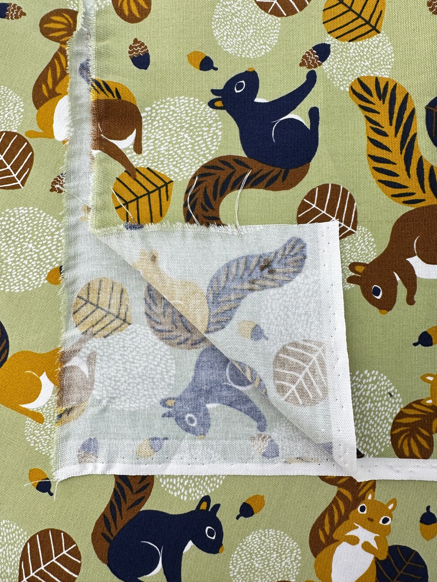 Japanese Cotton Oxford, Sage Squirrels