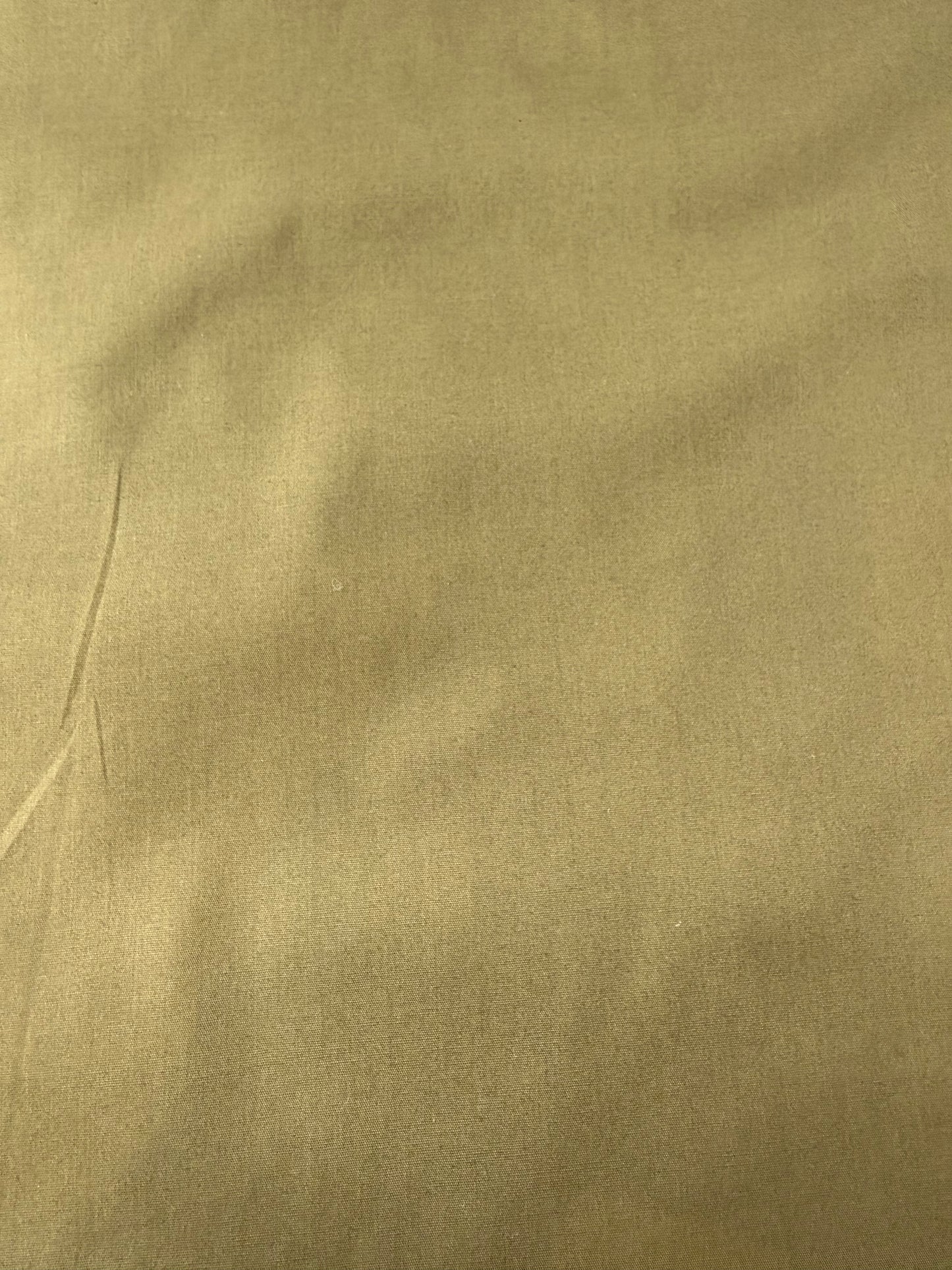 Cotton Poplin, Olive