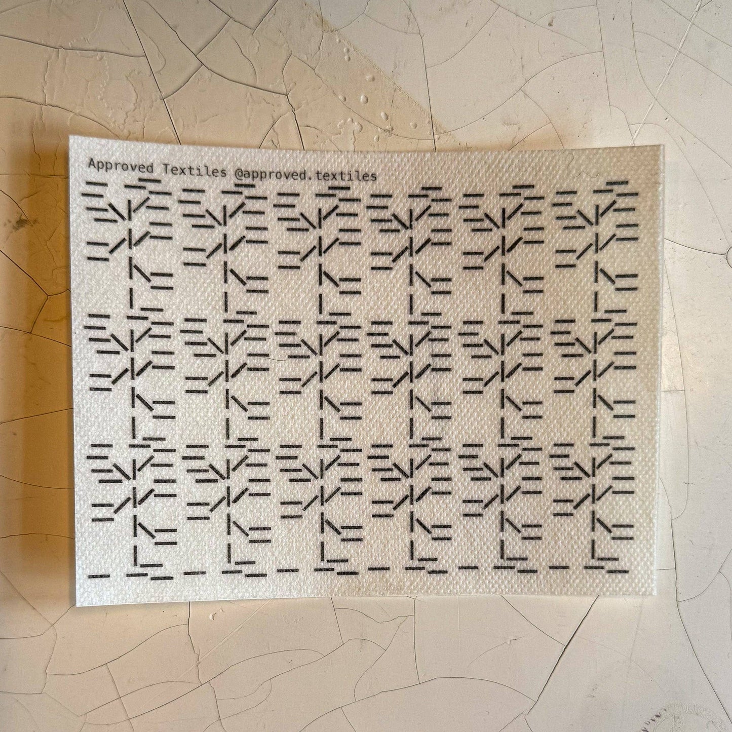 Desert Flora: Visible Mending Transfers