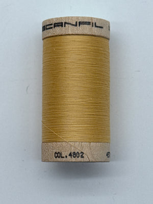 4802 Cornsilk