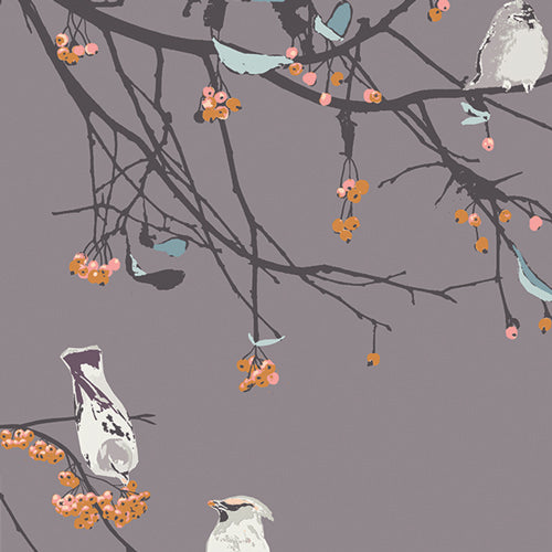 Premium Cotton, AGF Bird Songs Sun