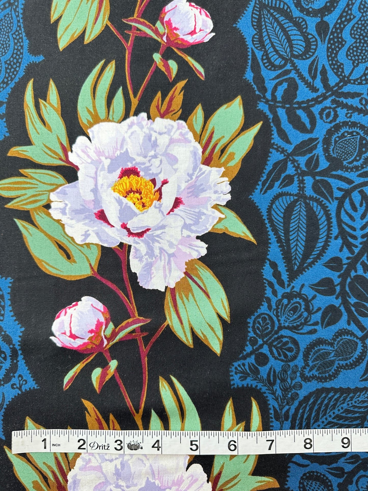 Anna Maria Cotton Sheeting, Overdressed, Triumph in Sink, 4.7oz