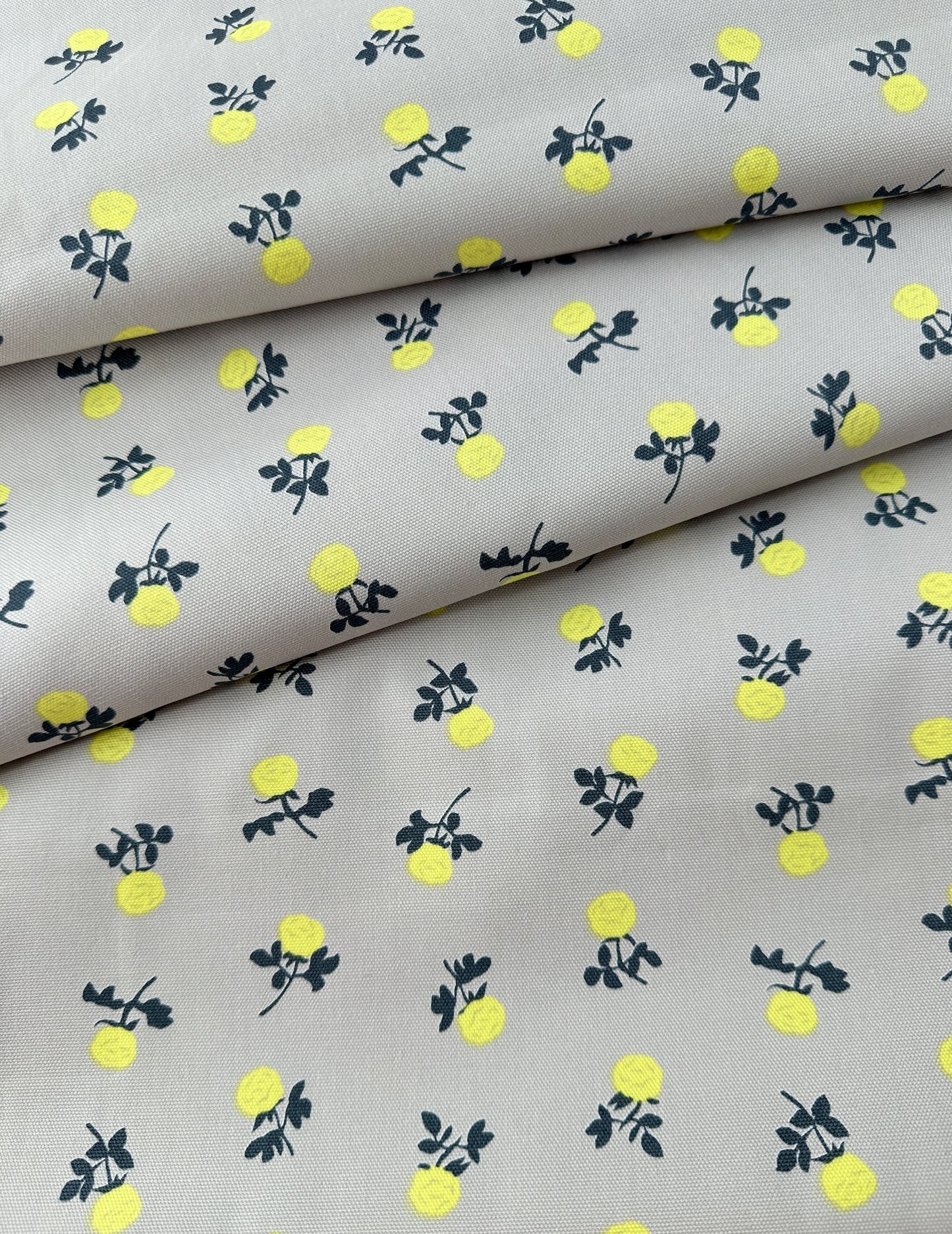 Muddy Works Cotton Oxford, Mini Rose