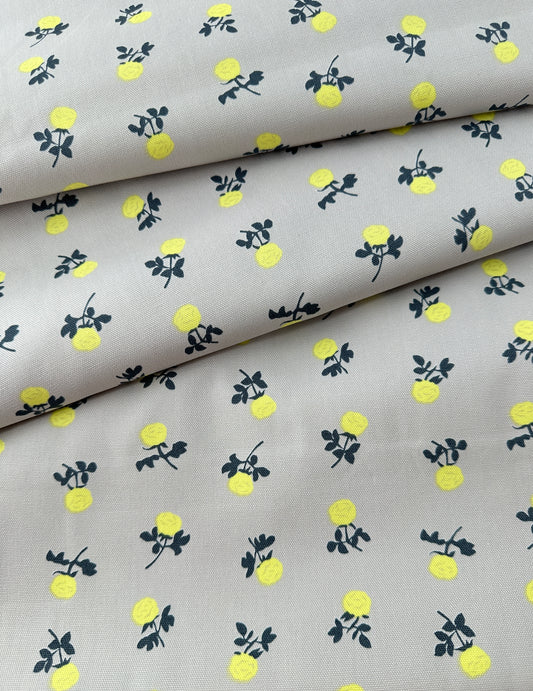 Muddy Works Cotton Oxford, Mini Rose