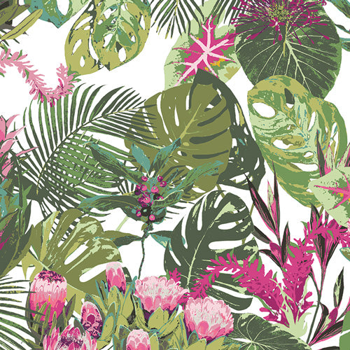 Premium Cotton, AGF Tropicalia Light
