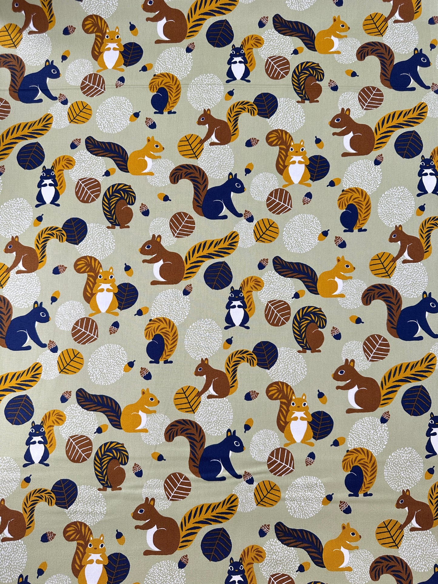 Japanese Cotton Oxford, Sage Squirrels