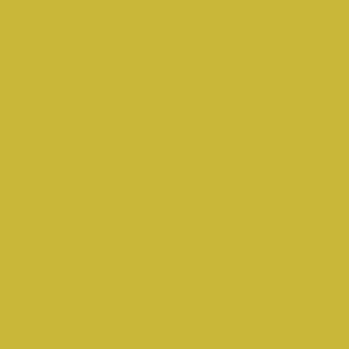 AGF Premium Cotton, Solids – Olive Oil