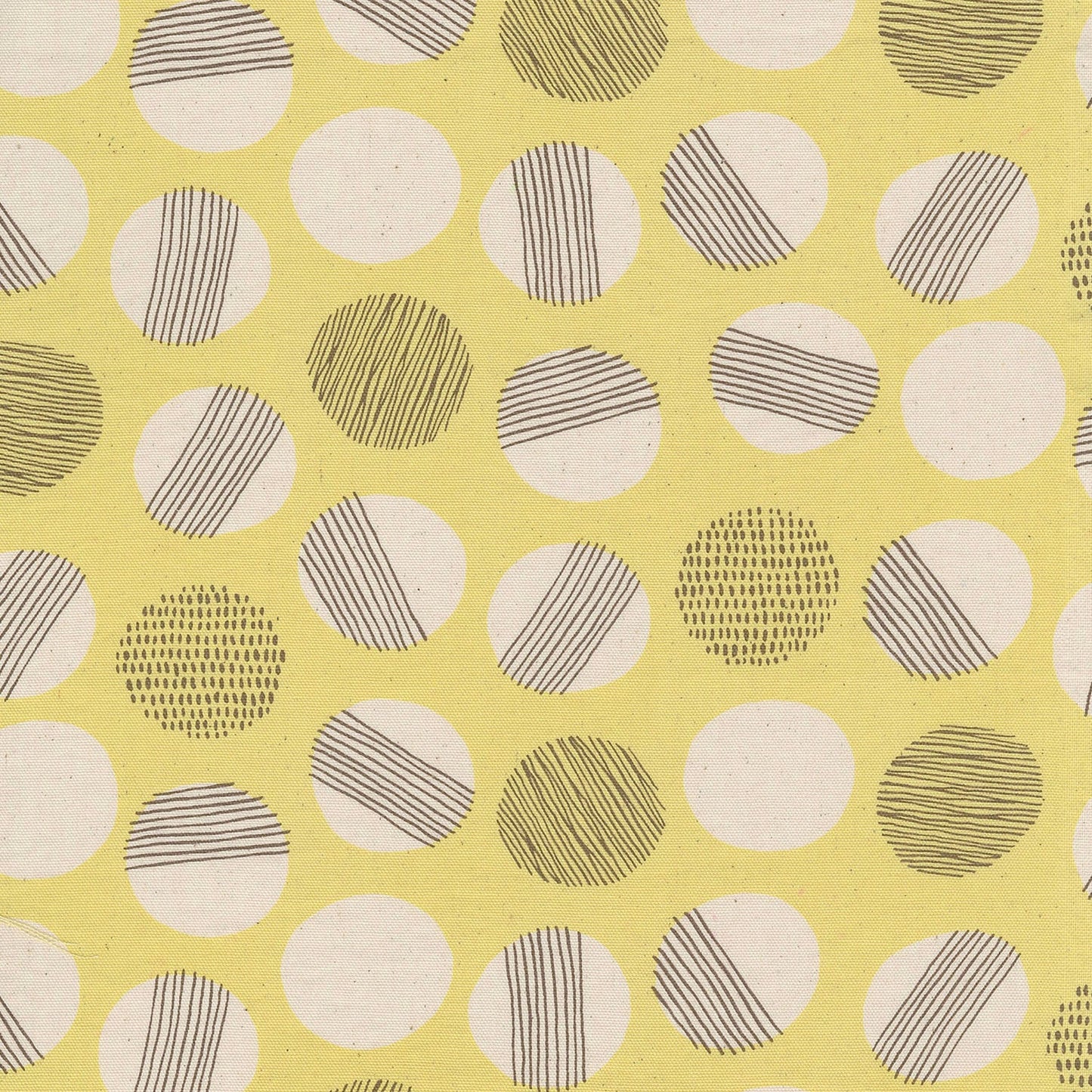 Kokka Cotton Oxford, Simply Palette Polka Dots
